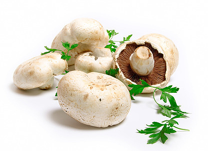 Champignons